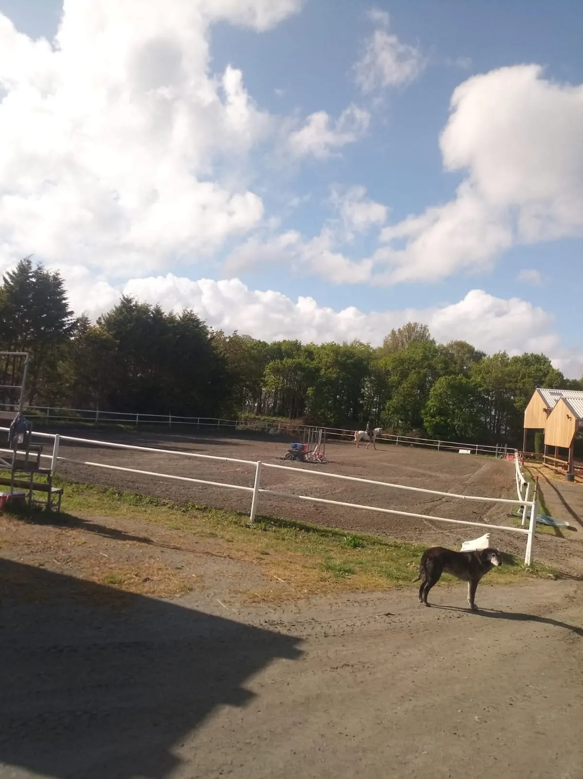 Carrière extérieure sablée du centre équestre Équi 22, avec un cavalier à l'entraînement