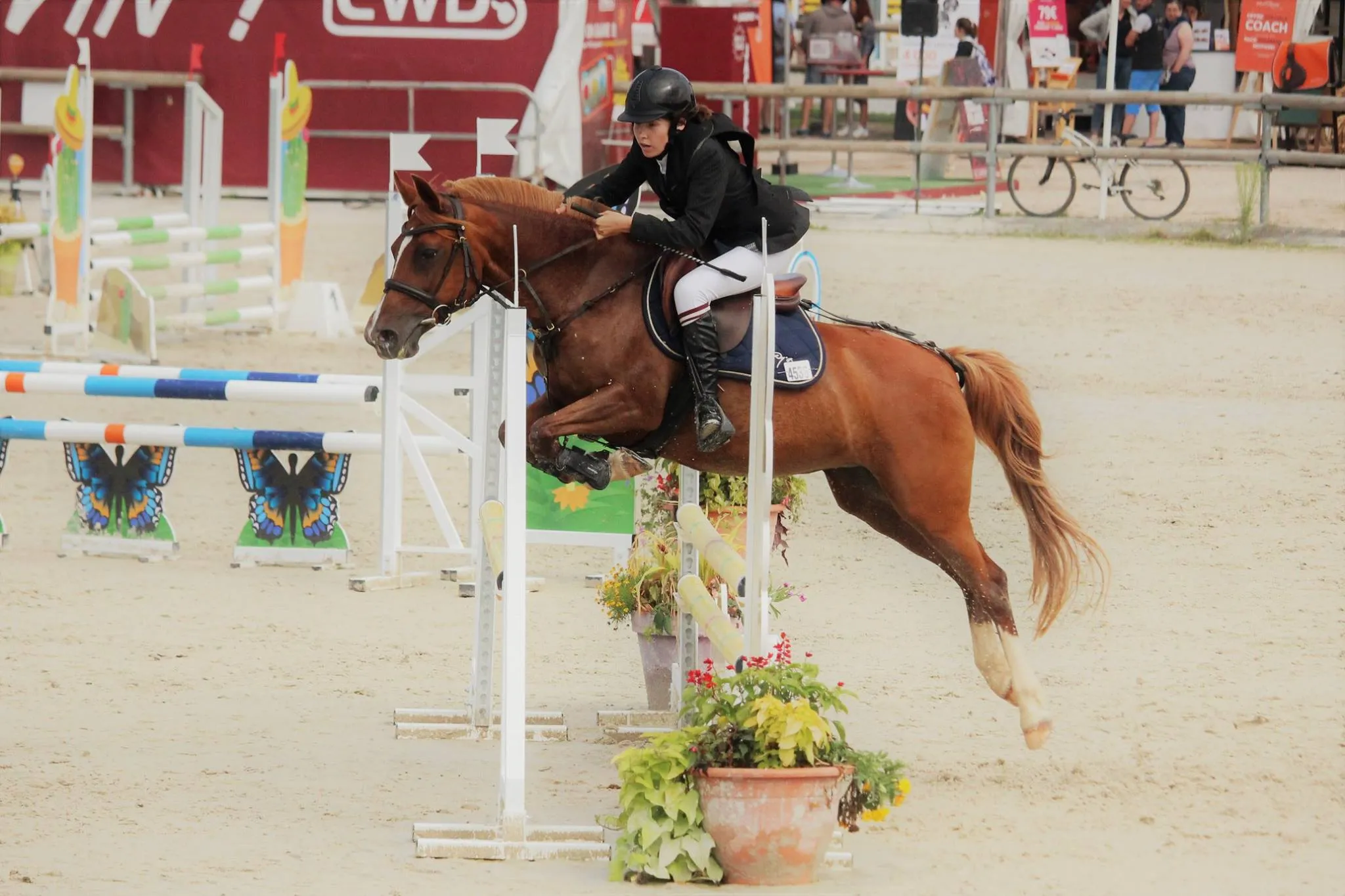 Cavalier franchissant un obstacle lors d'un concours de saut d'obstacles au centre équestre Equi 22 à Yffiniac