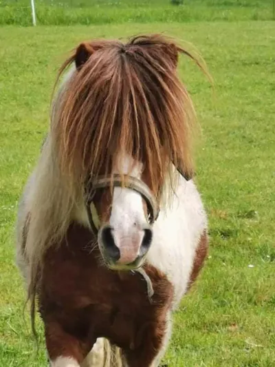 Photo de Edgard