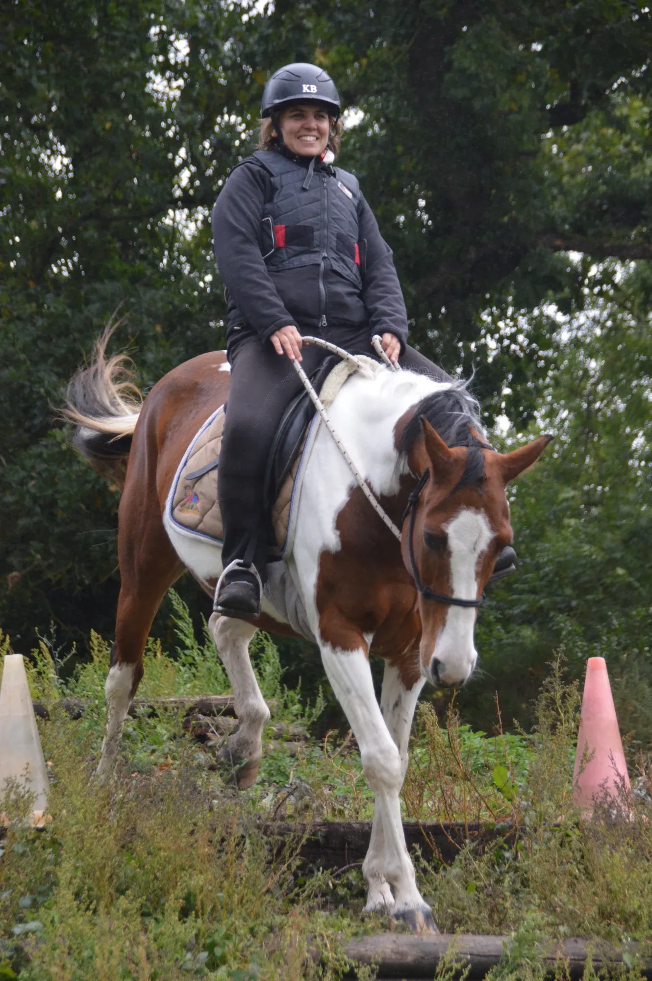 Cheval franchissant un obstacle de mountain trail à Yffiniac